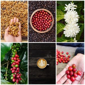 Celebrate Coffee in Spanish Fork