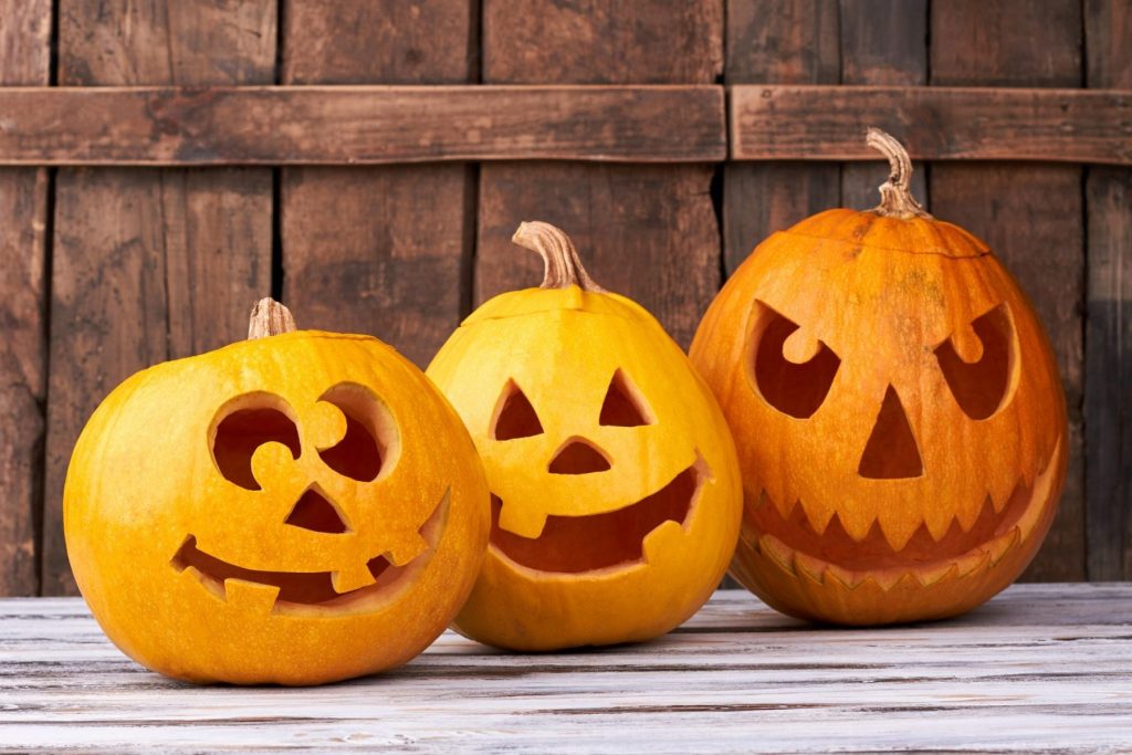 Celebrate Fall Activities in Your Sandy Break Room